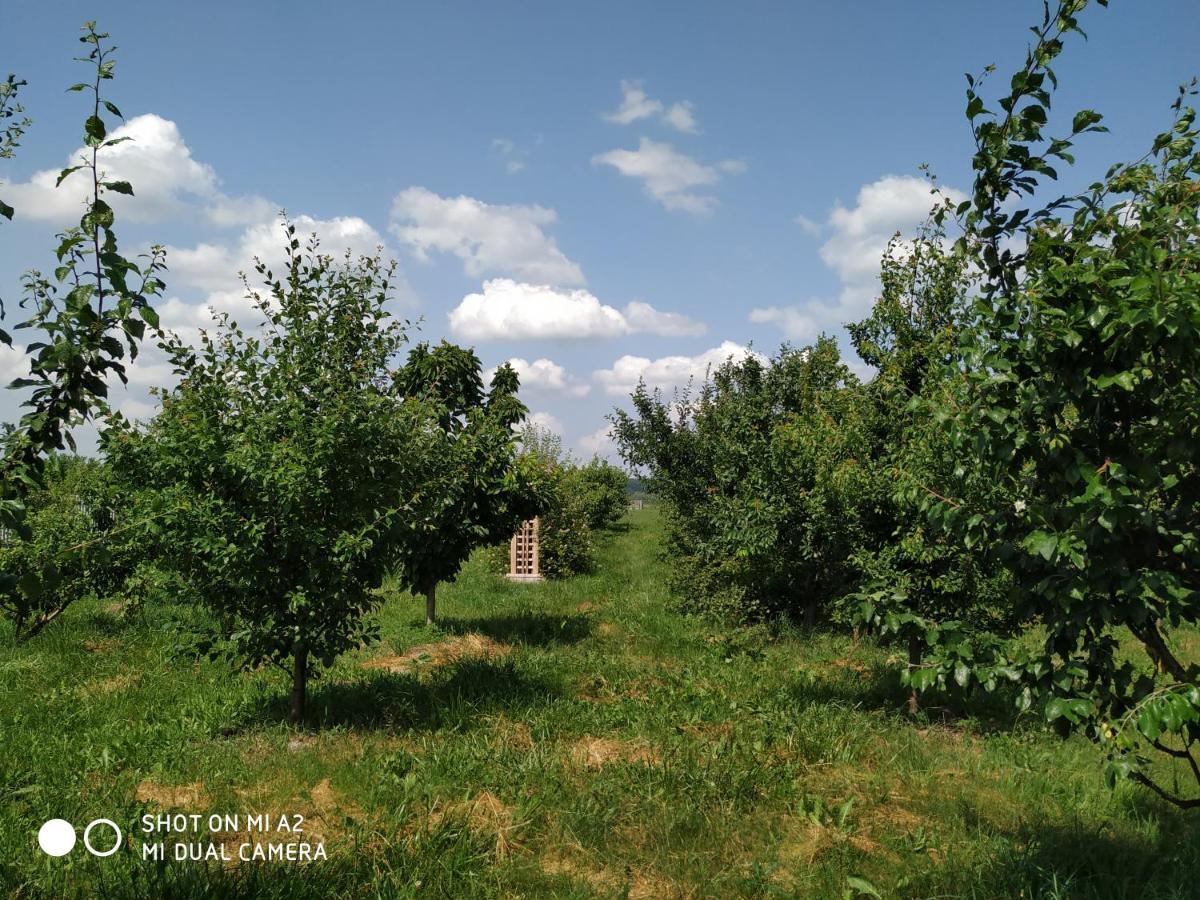 Noclegi Malgorzatka Solec Zdroj Luaran gambar